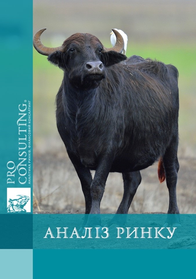 Аналіз ринку продукції з буйволів в Україні. 2022 рік